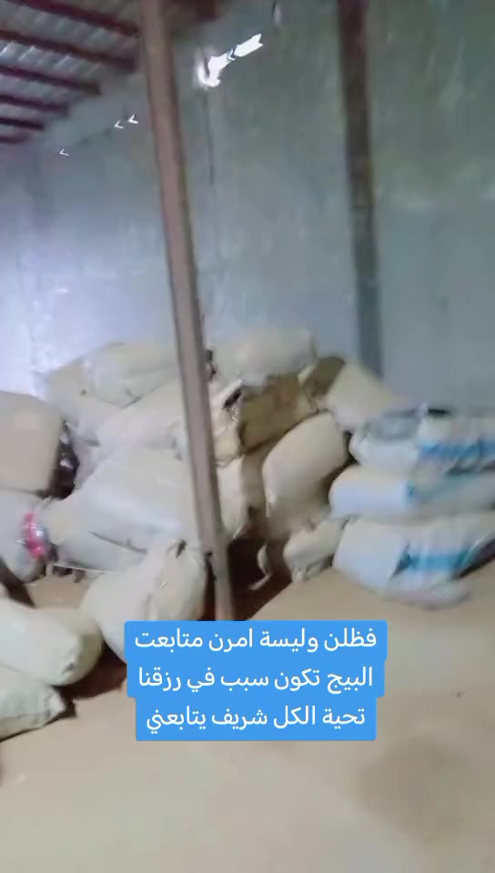 شركة نقل الاثاث 🚚داخل كربلاء  خارج كربلاء  او يضن تنظيف🏯 الشقق المنازل بسعار مناسبة جداً💲  ماعليك بس نتصل🛜 او 📳تراسلنه واتساب ***********او ***********  الاسعار الكية  50الف سعر الهينو🚛 150الف
