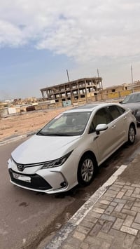 كورلا خليجي • ٢٠٢٤ • رقم اربيل