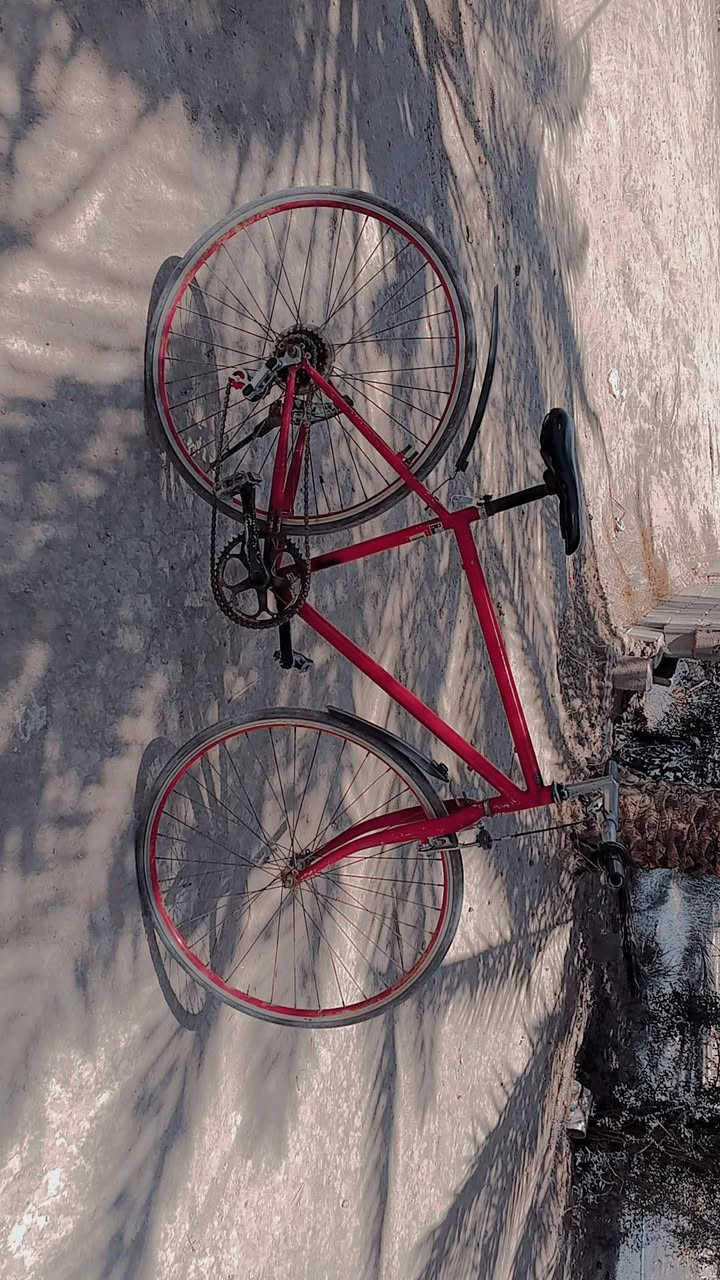 سلام عليكم عندي باسكلات لبيع سعر 125وبيهن مجال رقم الهاتف ***********مكاني واسط صويره شارع المطار
