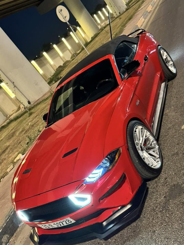 سلام عليكم شباب
فورد موستنك GT  5.0
للبيع
السياره فول موصفات للئخير خنك
كشنات جلد و خزن
تدفئه تبريد 
ترحيب مري
دجتل 
هيتر مري
شنو البالك بيها
سياره كت كاملRTR
شباك اعلى واسفل rtr
دوسات RTR
لحيه امامي ام القطعتين RTR
دفيوزرRTR
دركه كاربون حقيقي حرفD
مسطره تراك بكج مبرمجه وشغاله
ويل رهوانا اخر اصدار
لدات دفيوزر متغير
سياره حلوه 

بيها صبغ قطعتين وربع
تعديل بل شاصي اليسره بدون لحين بدون 
كص 
سعرها 155$ ماكو هيج سعر بل نسبه الموستنك جي تي وعشر نمر
مكانها بغداد وزيريه 
***********هاذه فقط وتساب ما فتوح خط
***********  هاذه فقط خط ما بيه وتساب 
اخوك علي ستار
