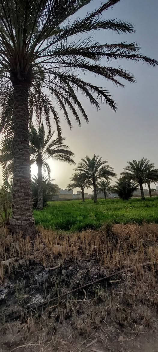 السلام عليكم 
3 دوانم ونص دونم للبيع  السعر ٣٥٥ للدونم الواحد وبيه مجال بسيط تنباع دونم ونص دونم
طابوا سند 25
الواجهه ٧٠ نزال ١٠٠_١٢٠
تبعد عن التبليط ٤٠٠ متر تقريبا 
الحر الصغير شارع مستوصف الحر الصغير بنزله الترابي الطريق الترابي الها تقريبا ٦ مترات
للاستفسار اكثر خاص او على الرقم 
***********
