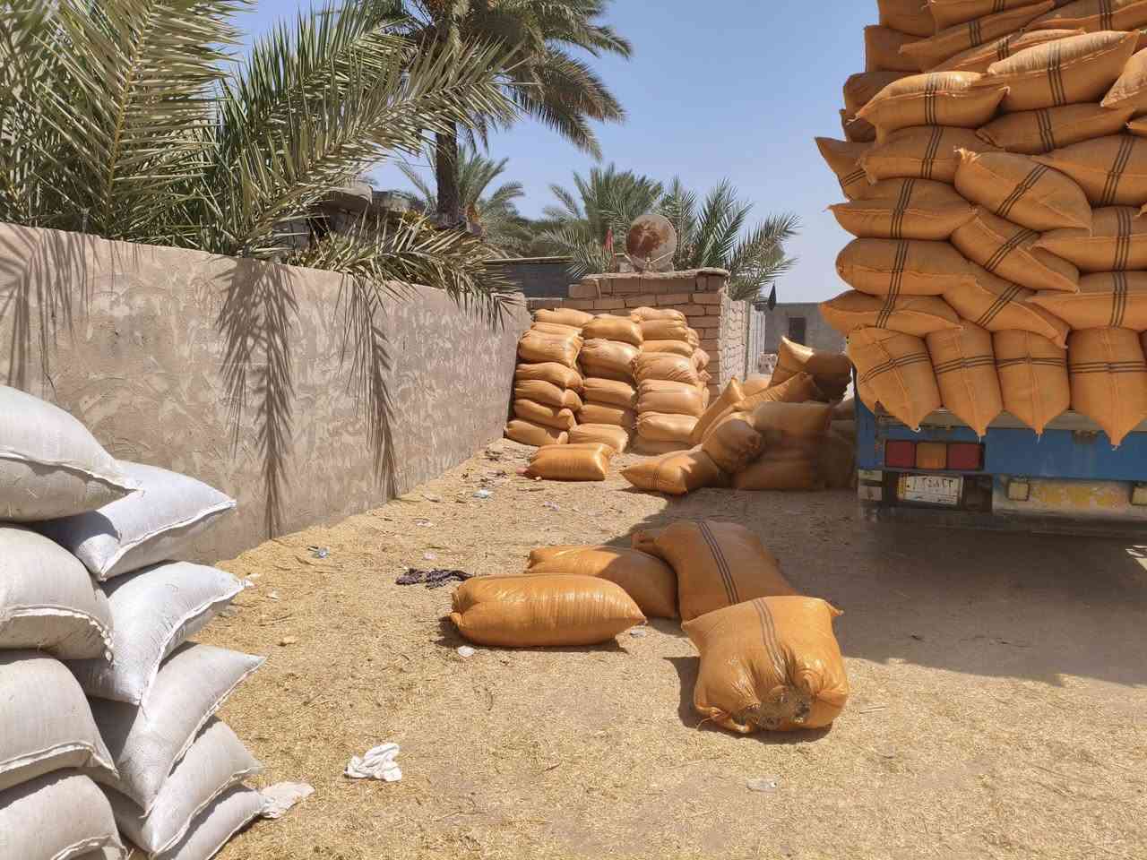 يا الله تبن عين تمر طول 90ولعرظ 70تبن درجه أولى واصل لباب البيت عنواني كربلاء عون شارع بغداد دخول كربلاء عمود 276وهاذى رقمي ***********

