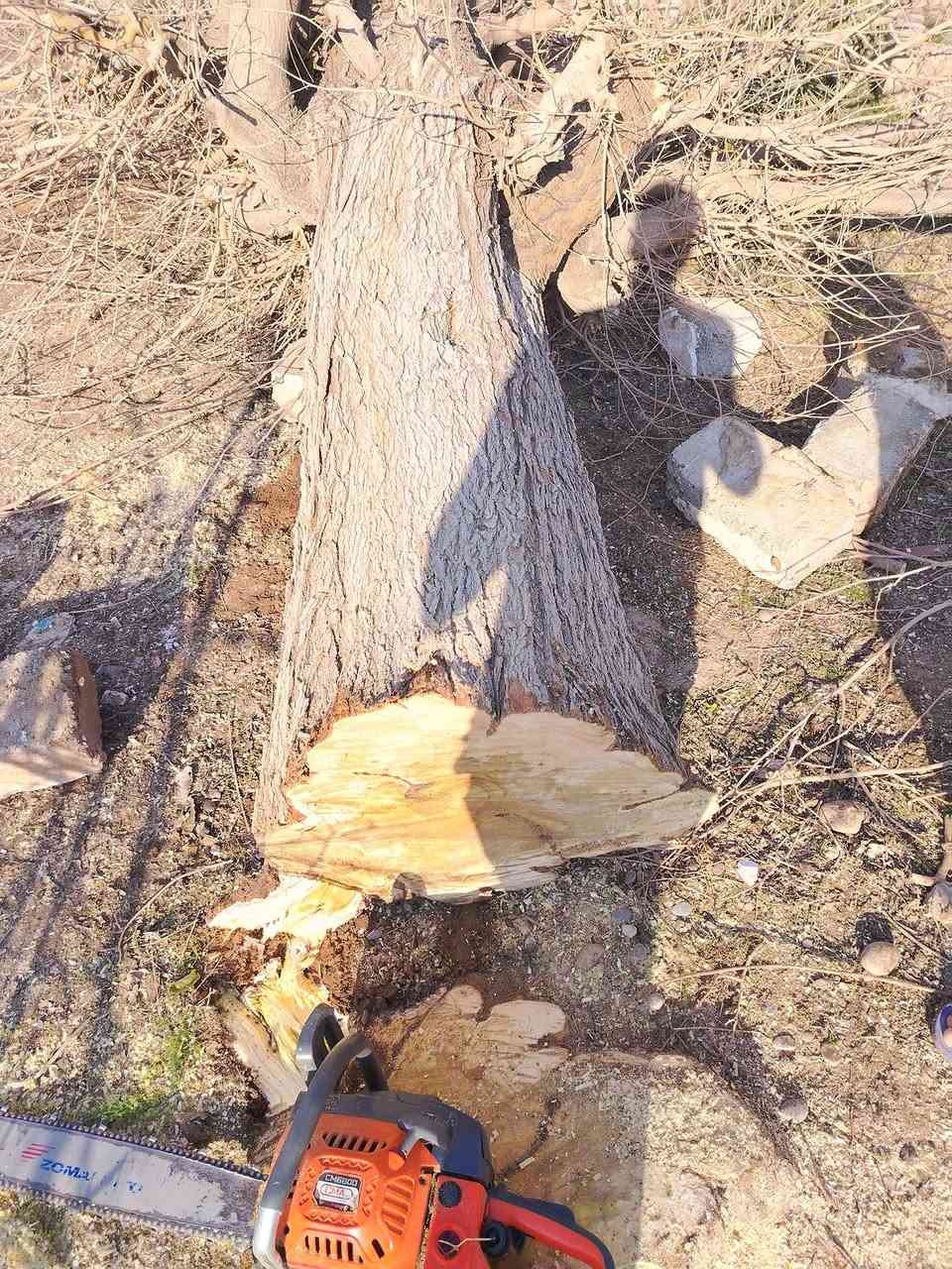 السلام وعليكم كرامي مال گصابه للبيع  وكرامي حطب للبيع ***********
