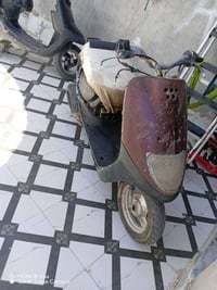 منغولي • ٦٠ • كفرات
