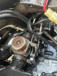 س.ع • لحلوه • كوت خاجيه