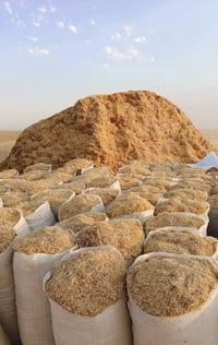 يوجد تبن حنطه نضيف شرط مال دراسة حجم الكيس 55سعر الجوز خابر ودلل 07819...
