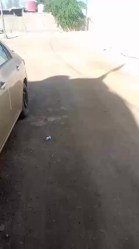 السلام عليكم بيت للبيع
عنوان أبو الخصيب طريق الصحراء من جامع سيد الشهداء  وتخل نوع العقار وقف البيت طابقين تفاصيل والسعر الفيديو
اتصال ***********
