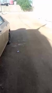 أبو الخصيب • ٢٢٠م • ٤غرف