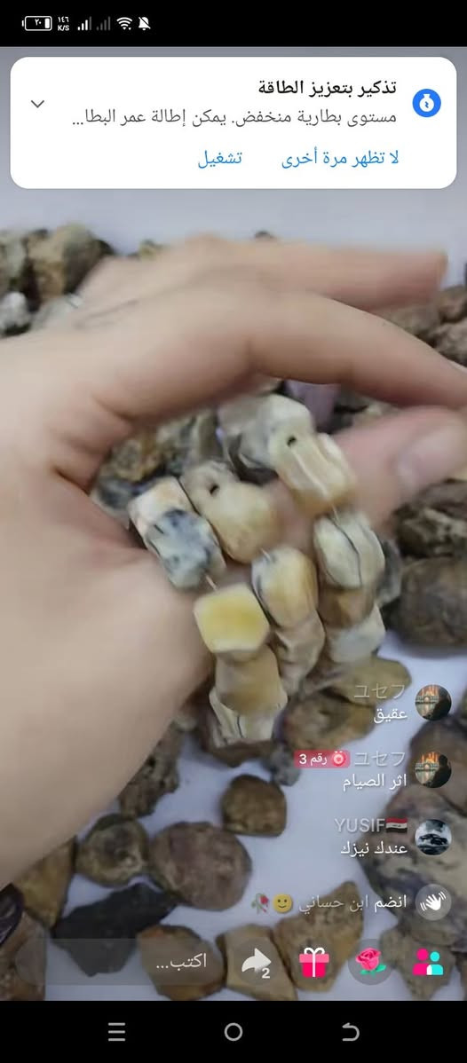 كلشي متوفر احجار طبيعيه مليار بالميه بالذمه انواع الاحجار هبهاب سلطاني عطف سليماني عقيق يماني عقيق طوحلبي اساور قلايد محابس زوعة حيه عراقيه ملكاط بالذمه


**إذا كنت صاحب هذا الإعلان وتريد حذفه لأي سبب، رجاءا أرسل رسالة إلى الدعم الفني**