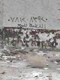 حلة حي النصر • طابو زراعي • ٣٠٠م