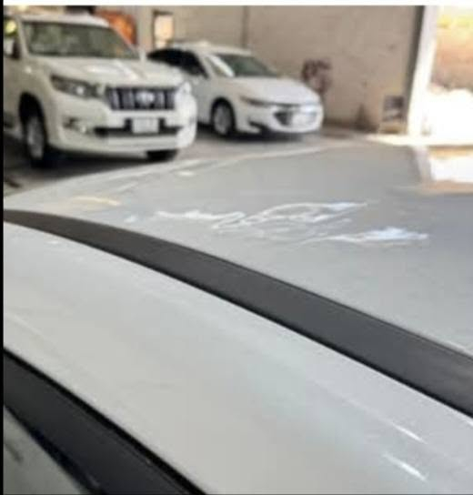 BYD qin plus 2025
ناوزه رد . 1600 کیلؤ مه تر رؤیشتووه
سه قفه که ی که میك ساردى هه يه. شا يه نى باس نيه . گیرو مه کینه به شه رت. سه یا ره که وه کو سفره . گؤرینه وه ش ئه که م به mg gt 2025 . ره قه م هه ولیر 
نرخی 135 وه ره قه و معا مه له
*********** السليمانية, العراق
