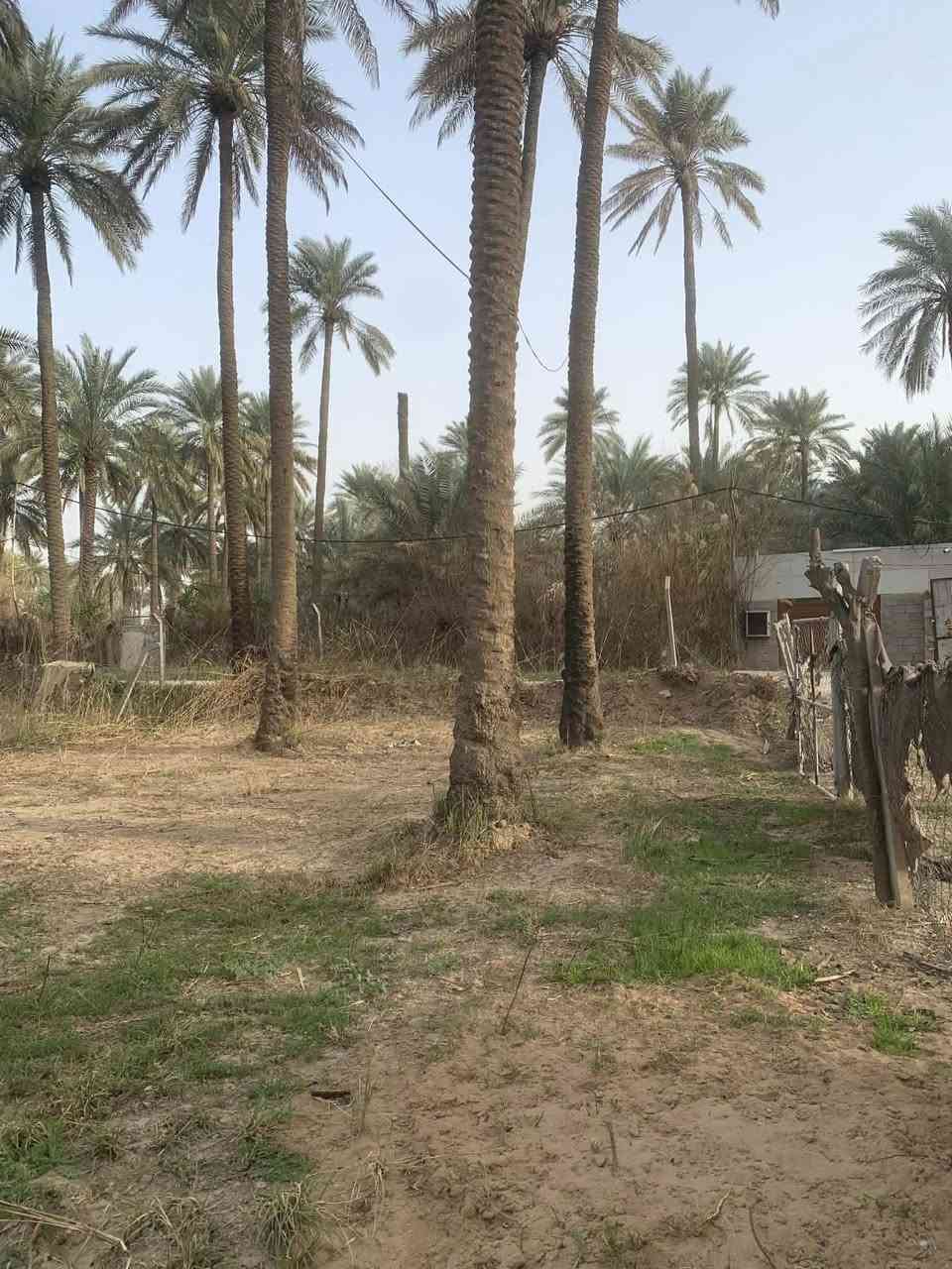 سلام عليكم
قطعة ارض للبيع / مساحه 300م واجهيه 14
الموقع: بعقوبة منطقة شفته قرب بستان ابراهيم شيمر 
الخدمات: واصل ماء وكهرباءء وطني ومولد
للاستفسار يرجى الاتصال عبر الرقم ادناه:  ***********
