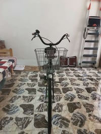 ياباني • مقاس ٢٤ • مجال بسيط