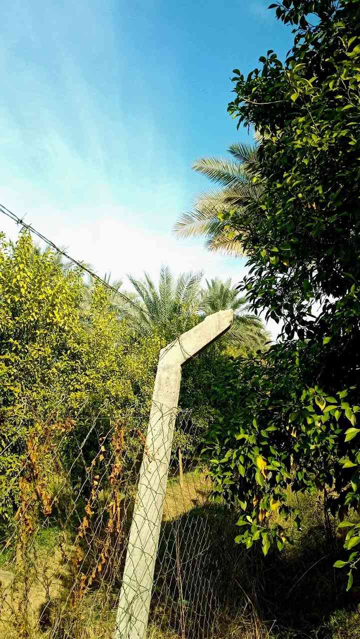 دونمين طابو سند 25 تحويل مباشر بائسم المشتري سند مستقل وليس مشاع 
الأرض زنجيل على شارعين الها شارع خاص بداخلها ما محسوب مع المساحه 
تباع حسب الطلب  كامله اقل شي 625 م 1000م 1250م دونم دونمين 
مغروسه 300 نخله عمراني أشجار حمضيات أشجار تفاح     الأرض مسيجه بل كامل 
 بيع سريع مستعجل سعر جدا مناسب الأرض شارعها تبليط أسواق مدارس قريبه تقع مابين الجزيرة السياحية وناحيه الراشدية قريه الساده البوحياه  
لمعرفة السعر اكتب تم يصلك .....  للإتصال ***********
