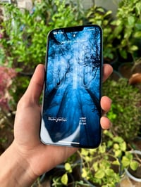 ايفون 13 بروماكس ذاكرة 256 بطارية ‎‎87 نظافه 90‎%‎  جهاز بيه (مسج من ا...