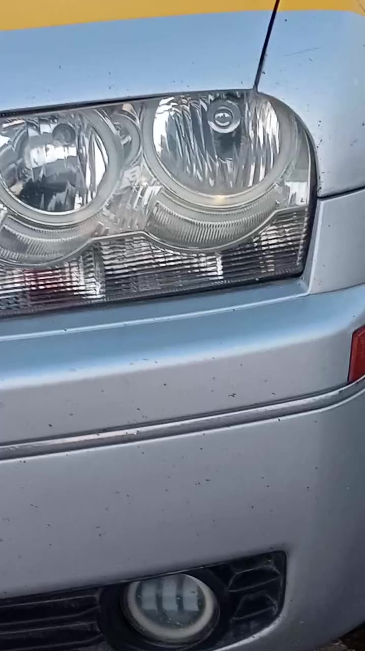 سلام عليكم 10اصل للبيع كفاله عامه جاهزه من كلشي استفسار اتصل***********مكاني واسط نعمانيه
