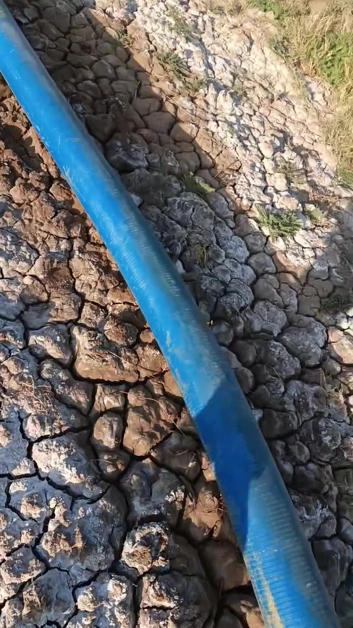 السلام عليكم البيع خنزيره مال مطور الهندي هيه وهوز جديد ***********السعر خاص العنوان العماره
