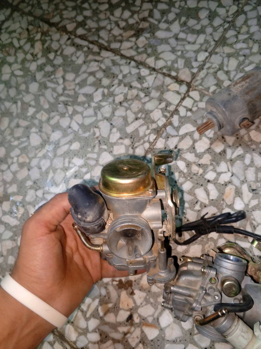 كابريتر وسلف سكنس فحل الكابريتر 35 السلف 20 المكان بغداد الشعب