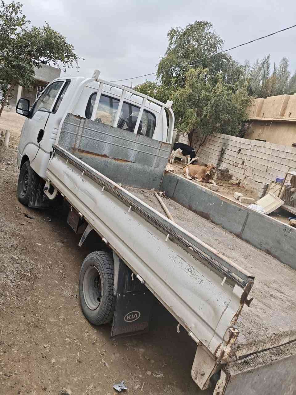 سلام عليكم كيه حمل للبيع
موديل 2008 
على نضام شركه 

نقطه صبغ مابيه 
قبق لكاز مال شركه وسويج مال شركه 
السعر 87 وبيه مجال

العنوان صلاح الدين بيجي الحجاج 

للتصال او ستفسار ***********
