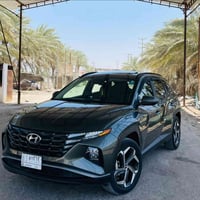 توسان ٢٠٢٢ • وارد أمريكي • حادث باب خلفي