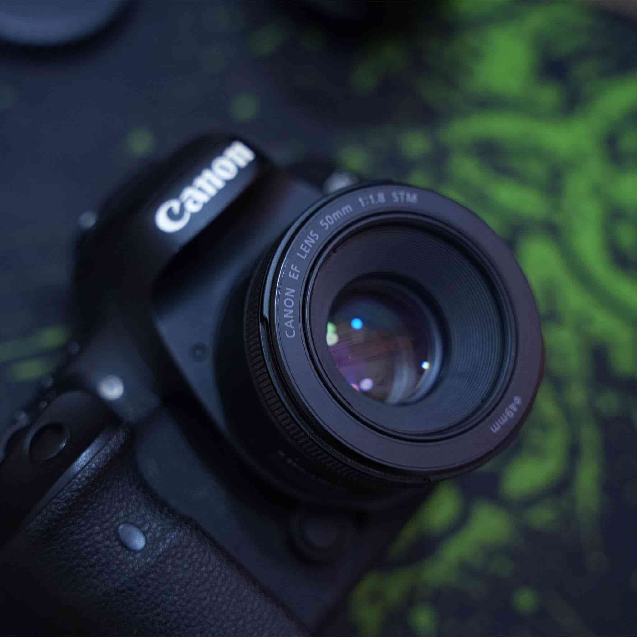 جديدة بالباكيت
7d mark 2 
عدسة 50_1.8
عدسة 135_18 
بطاريات ٢ 
شاحنة 
رام 
كارتونة 
ولكتلوكات مالتها بجيس 
ب٨٥٠ الف قفل


**إذا كنت صاحب هذا الإعلان وتريد حذفه لأي سبب، رجاءا أرسل رسالة إلى الدعم الفني**