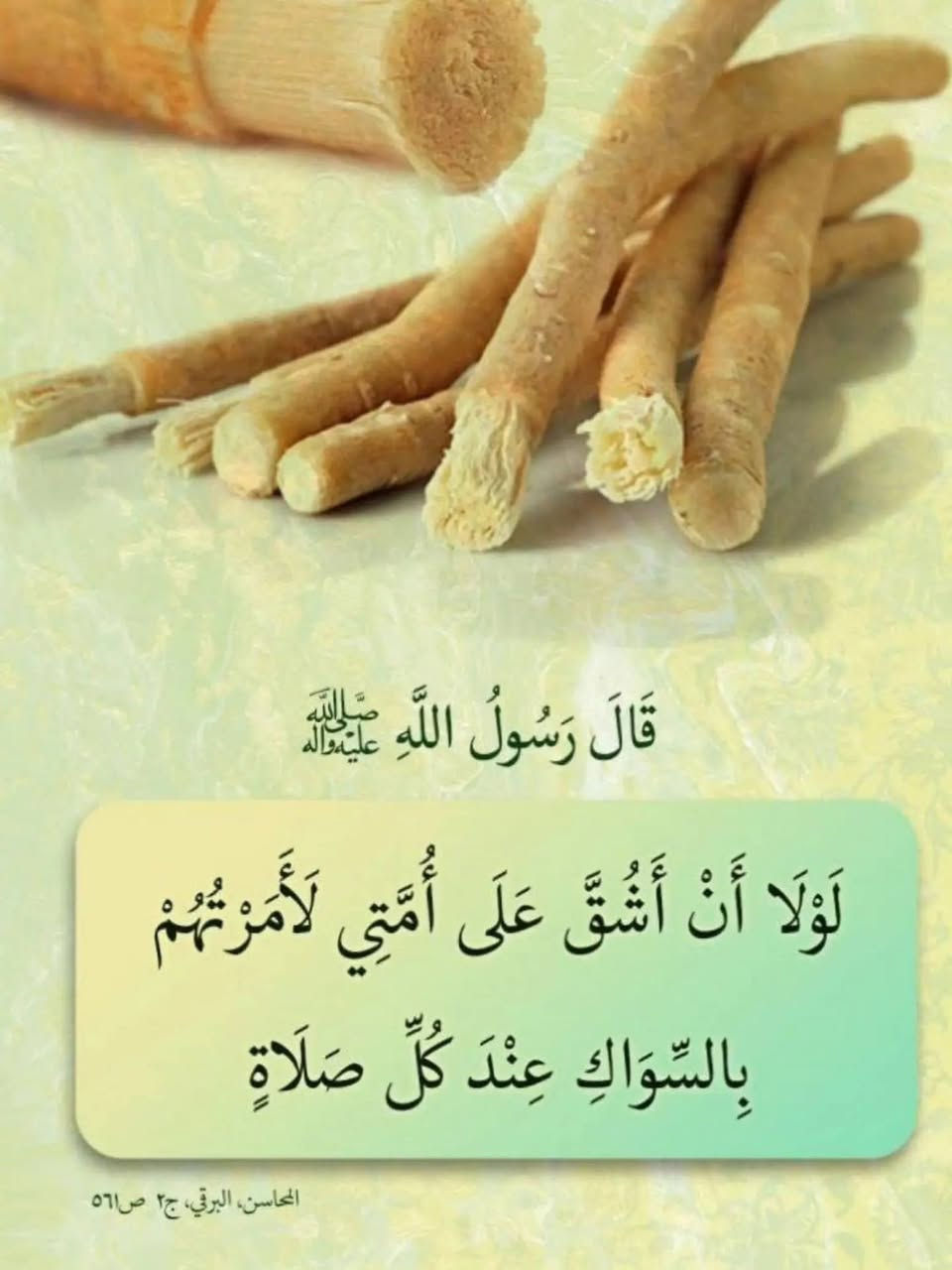 🔴 فوائد السواك

💢 عن أبي عبدالله عليه السلام قال:
 في السواك اثنتا عشرة خصلة:
١. هو من السنة، 
٢.ومطهرة للفم، 
٣.ومجلاة للبصر،
٤. ويرضي الرحمن، 
٥.ويبيض الأسنان، 
٦.ويذهب بالحفر، 
٧.ويشد اللثة،
٨. ويشهي الطعام،
٩. ويذهب بالبلغم، 
١٠.ويزيد في الحفظ، 
١١.ويضاعف به الحسنات،
١٢. وتفرح به الملائكة.

📚 الخصال، ص٤٨١، ح٥٣

يتوفر عود سواك شجرة الاراك 

سعر العود الخشن 1500 دينار
 
سعر عود السواك الناعم 1000 دينار 

🔻يوجد توصيل 🔺      
🚕 لجميع المحافظات داخل العراق


**إذا كنت صاحب هذا الإعلان وتريد حذفه لأي سبب، رجاءا أرسل رسالة إلى الدعم الفني**