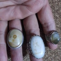 كلمن • للبيع • سعره