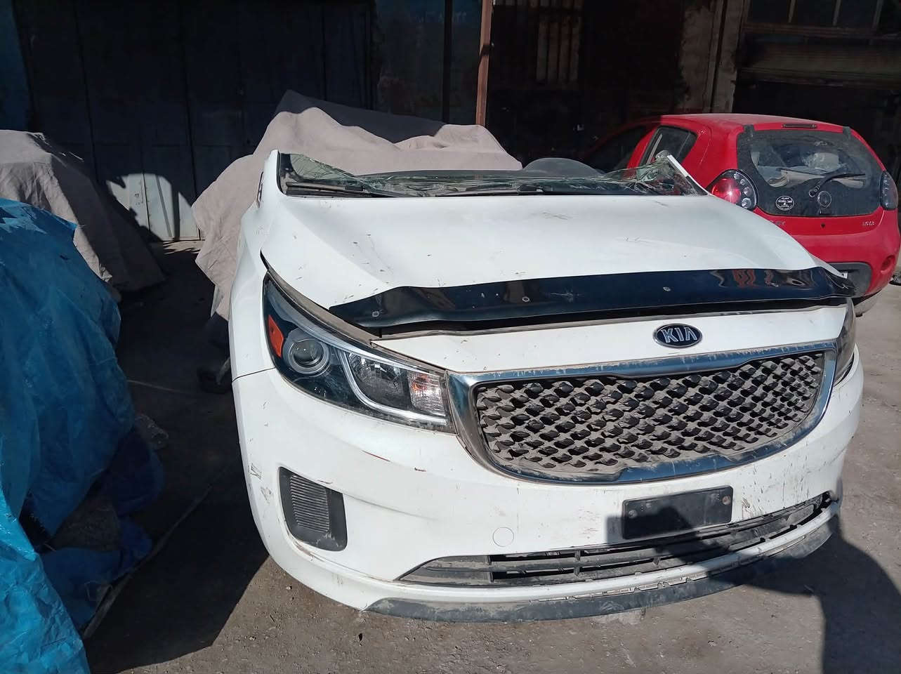 🚨 وصل الجديد 🚨❗️يتوفر الآن كلشي يخص السيدونا كصات كاماله ابواب كلشششششششي يخص السيدونا وباسعار تنافسيه ❗️🔹 وارد أمريكا – تفصيخ نظيف ومضمون 🔹🚗 تفصيخ حديث – كل القطع متوفرة:🔧 محرك | كير | دعاميات | لايتات | جاملغات | شاشة | أبواب | كهربائيات| طبلات | دبلات | حداديه | كلشي تفصخة السيارة متوفر 🔧---🐋 االعالميه الاولى 🐋تجارة قطع غيار السيارات الكورية والهايبرد كافة✔️ تفصيخ مباشر – وارد أمريكا✔️ خليجي 👌كندي✔️ أسعار مناسبة وجودة مضمونة✔️ شحن متوفّر لجميع المحافظات📍 العنوان:كربلاء حي الصناعي شارع الكرينات الفرع الثاني مقابل جامع الكناني والاستفسار:📲 ***********

***********
***********
🚙🚙🚙🚙🚙🚙🚙🚙🚙🚙🚙🚙🚙🚙🚙🚗🚗🚗🚗✌🏻✌🏻✌🏻✌🏻✌🏻✌🏻✌🏻✌🏻✌🏻✌🏻✌🏻✌🏻✌🏻✌🏻🧨🧨🧨🧨🧨🧨🧨🧨🧨
