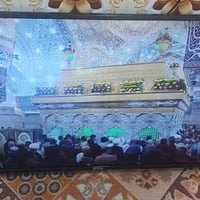 بلازما • ٤٣ بوصة • ام نت