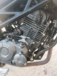 بنلي ١٣٥ • موديل ٢٠٢٢ • تحويل مباشر