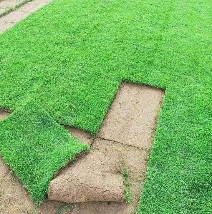 تخفضيات لفترة محدودة (بأسعار مناسبه وتنافسيه ) ✨❤️

انتاج خاص بمزارعنا
حيث الجودة والسعر المناسب 

☘ثيل هندي طبيعي نوعية ممتازة🍀 مناسب للاستخدام في ( المنازل🌳_ الحدائق🌳_ الملاعب🌳_ الدوائر🌿) 

#انتاج_خاص #شكل_مثالي  #سعر_تنافسي

✨ سعر المتر يختلف للكميات الكبيرة ✨

يوجد خدمة توصيل لجميع محافظات العراق 

#ملاحظة : التوصيل مجاني ❤️

(مستعدون لتجهيز الحدائق المنزليه و الملاعب الرياضيه و المنتزهات و الدوائر الحكومية بكادر مختص مميز يجيك لباب بيتك #بأسعار #تنافسيه )
🍁لمعرفة سعر المتر المربع التعليق ب "تم" سوف تصلك رساله 
🍁للاتصال او الاستفسار  متوفر مفتوح طوال اليوم
*********** اتصال
***********واتساب
*********** اتصال
