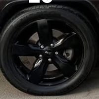 تخم 20 لبيع سعر 350 07701355886