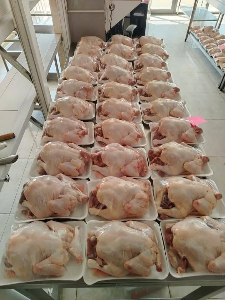 صباح الخير 
حجز مفتوح اليوم الخميس.  باجر الجمعة معزلين حداد 
سمك مسكوف سعر الكيلو 7500
سمك حي تازه وفريش6000
دجاج ذبح على الطلب. 3500
للحجز والاستفسار التواصل على الخاص
او *********** او ***********
يوجد خدمة التوصيل داخل بسماية
