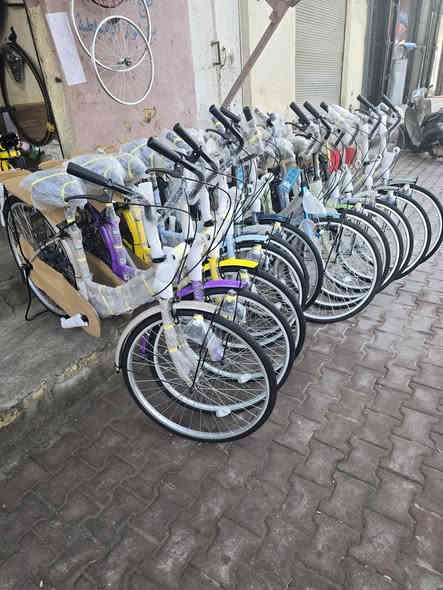 رقم الهاتف ***********
