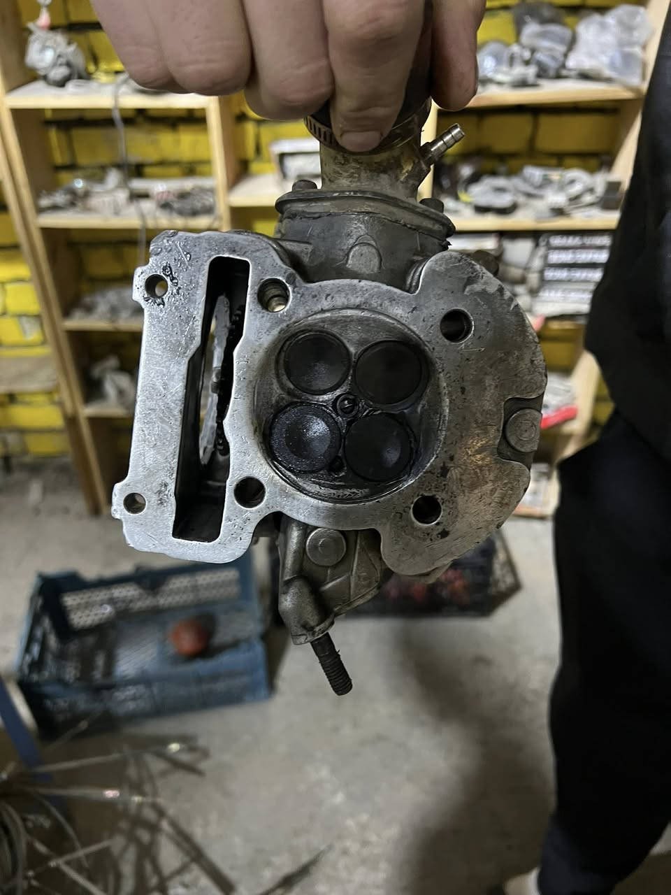 كلج امامي ماكس رياضي شلعة ومعدل ؏ شغل رولة مال سكنس رياضية اصلية كور سكنس رياضي اصلي سعرهن خاص مكاني / بغداد دورة 
رقمي:***********
