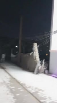 الاسبع ابكار • دور ملك صرف • ٥٨م