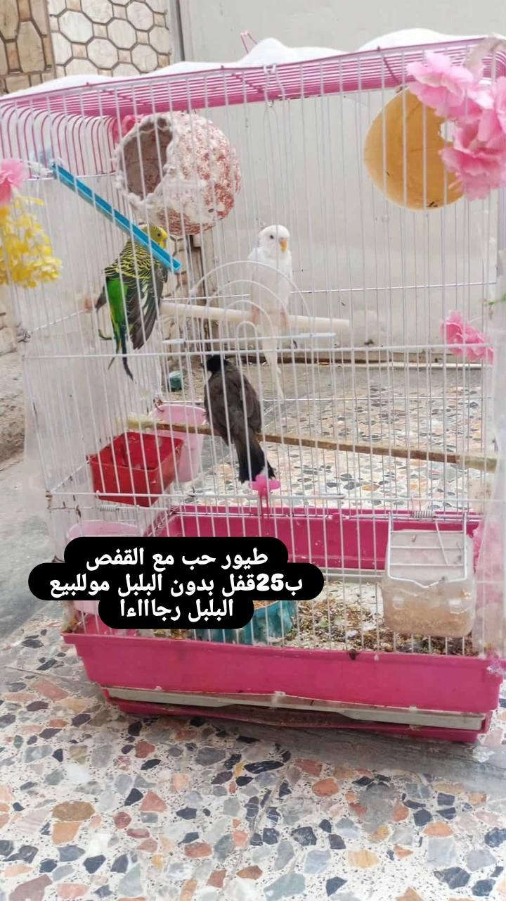 السعر داخل الصور النجف, العراق


**إذا كنت صاحب هذا الإعلان وتريد حذفه لأي سبب، رجاءا أرسل رسالة إلى الدعم الفني**