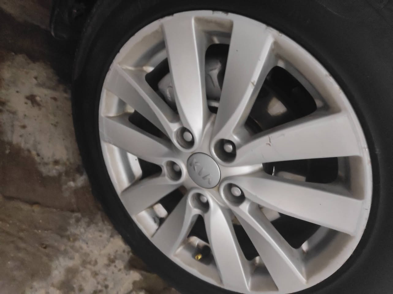 سلام عليكم عندي هذا ويل سيراتو حجم 16 أريد اراوسهن بحجم 17 ***********
