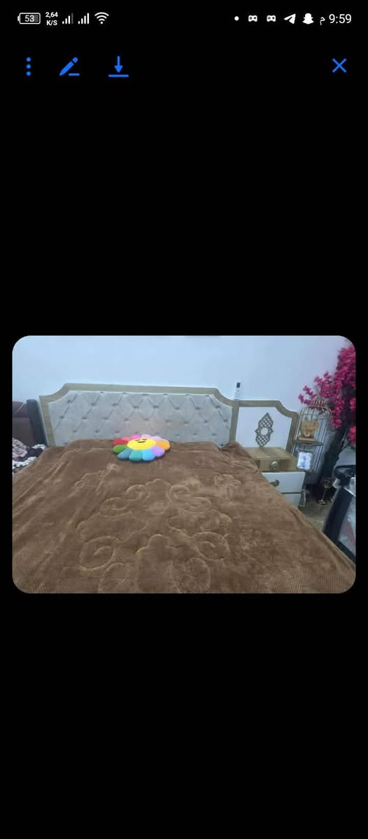 غرفه تركيه مع الدوشك ب400 بيهامال مكان العامريه


**إذا كنت صاحب هذا الإعلان وتريد حذفه لأي سبب، رجاءا أرسل رسالة إلى الدعم الفني**