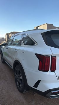 ٢٠٢١ • ٦ سلندر • ٧ راكب