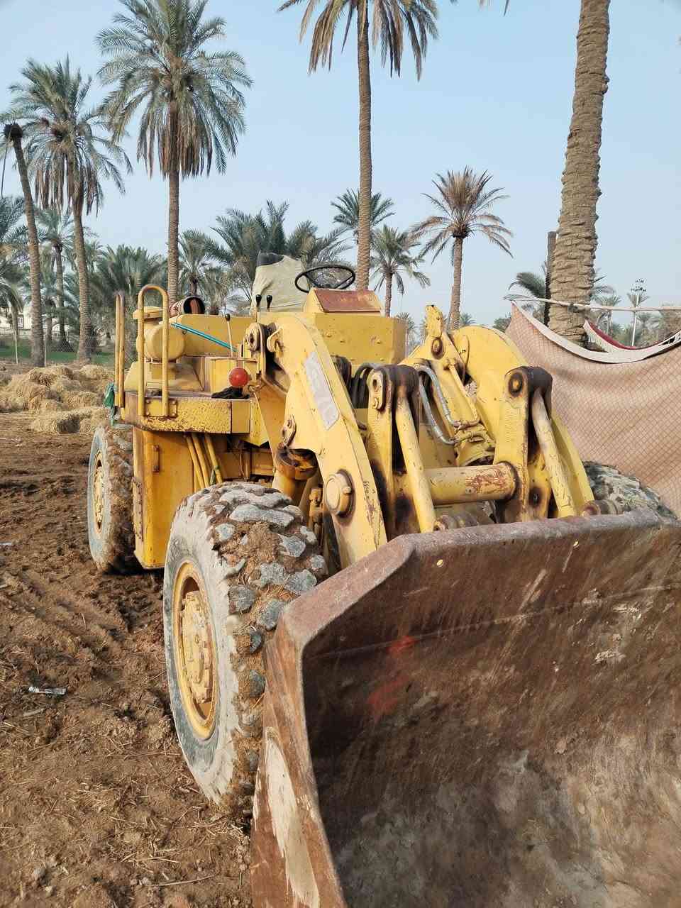 شفل للبيع رقم نجف بسمي ***********
