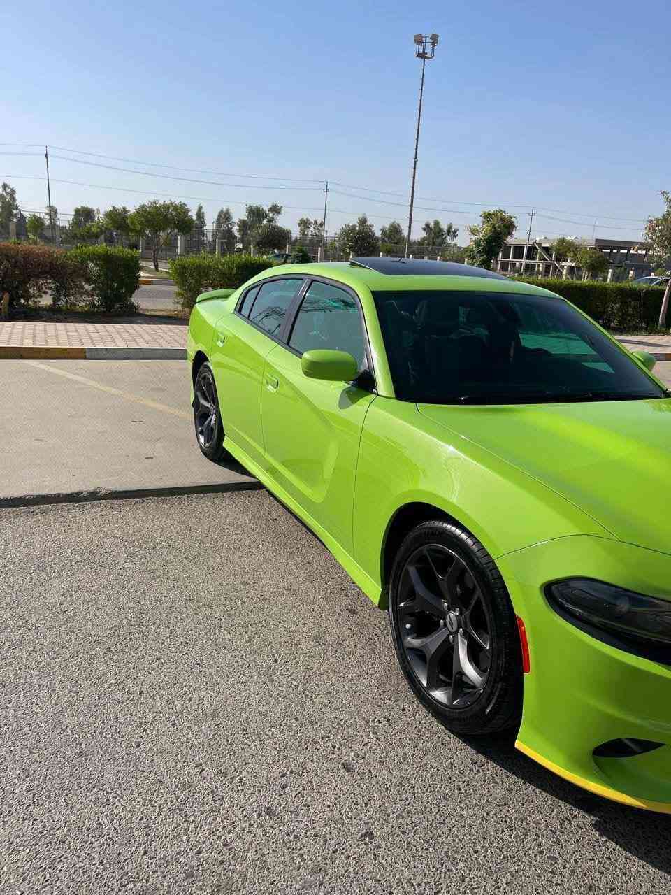 جارجرGT جيتي خليجي وكالة هارلم
الموديل 2019 (خليجي)  لون تفاحي المميز 
العداد:70 الف حقيقي 
السيارة كفالة عامة من الوكاله ع ايدي مشتريها زيرو مكفوله من الصبغ والضربة والبارد ولا شخوط 
سياره حالة زيرو شرط  جديده  
رقم أربيل

السعر 312 ورقه 
***********
