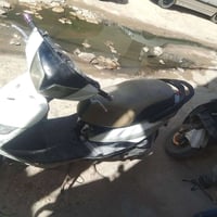 ثعلب للبيع ب400 وبيها مجال مكاني الحريه الاولى رقم 07745646835