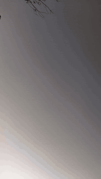 سلام عليكم
سلام عليكم..........عليكم سلام 

للبيع؟........نعم لل بيع 

سعر ؟............1650 بي مجال 

يا موديل ؟.........22شهر 6ب 2023طالعينة 

اوراق ؟.........نعم اوراق شمالي 

بي سبغ ........قطرة سبغ مابي 

مكينة مفتوح؟.........اسبانة مضاربة 

كاربايات؟.........كلة شغال و بلادي نكرة سلف 

اشبي عيب ؟............اي عيب مابي 

مكانك ؟............ كلار 

شراي تكدر تجيني فلان مكان ؟.......اعذرني عيوني 

رقمك ؟..........(***********)
