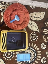 لوازم قطط • كوشة نوم • صندوق رمل