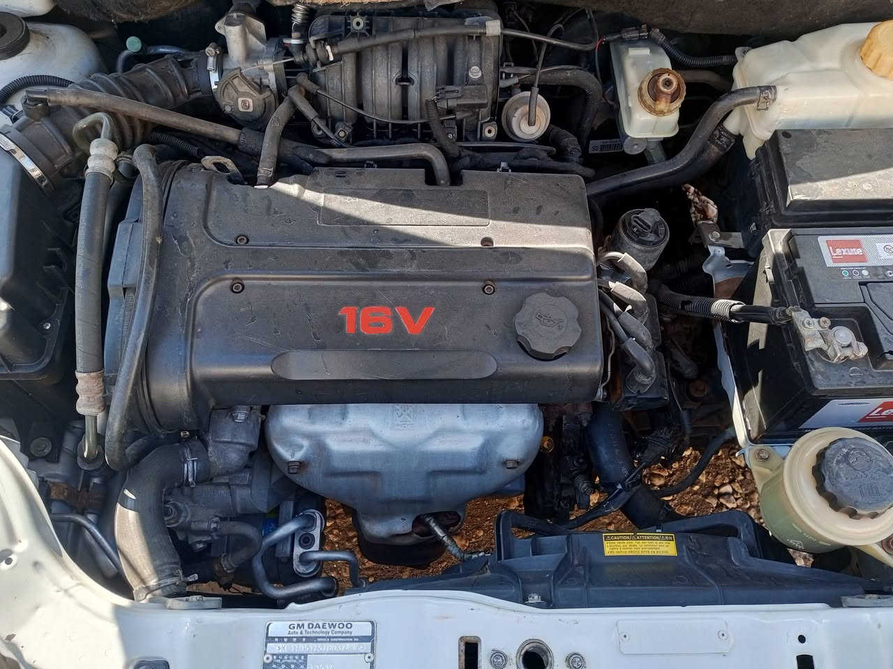 صبغ الحزام 2007 ***************
