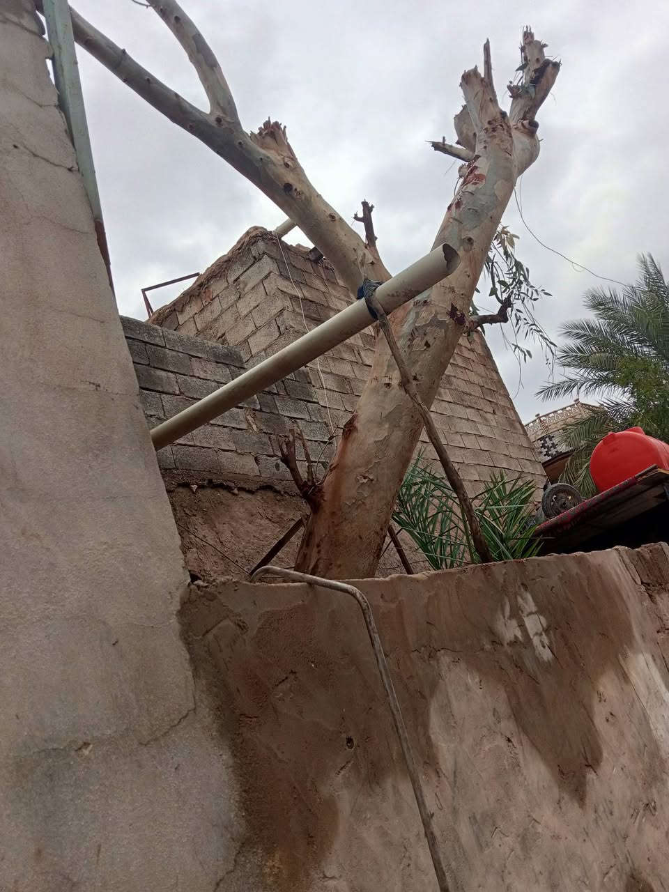 عودان لبيع بهيت


**إذا كنت صاحب هذا الإعلان وتريد حذفه لأي سبب، رجاءا أرسل رسالة إلى الدعم الفني**