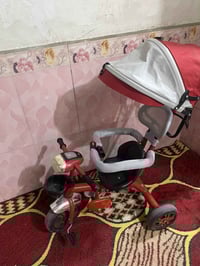 باسكل ابو العربة • نظيف