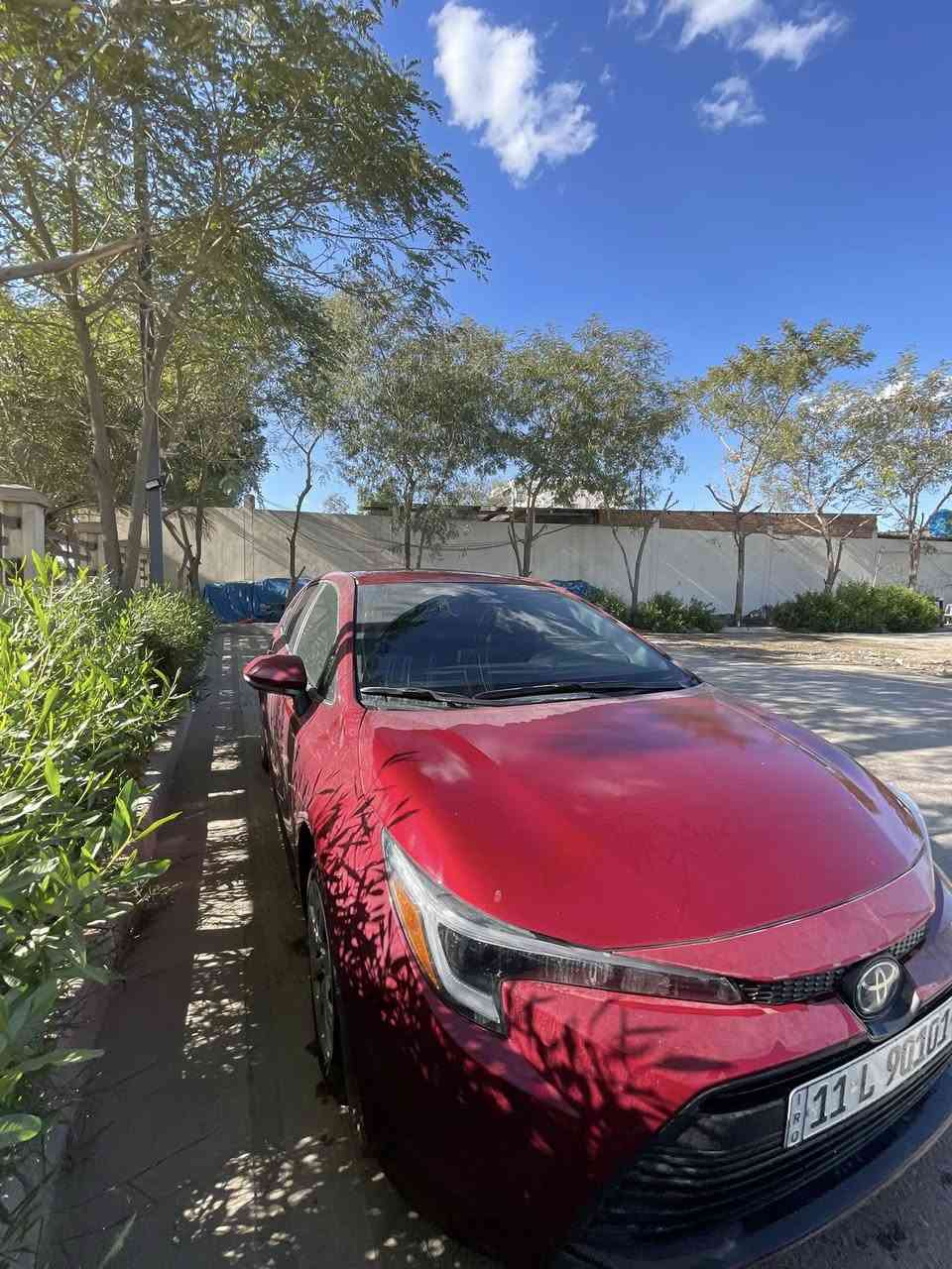 تيوتا كورلا هايبرد 2024
ياباني اصلي وارد امريكي مكينة ١٨٠٠ المرغوب 

ماشية 20 

قطعتين صبغ جاملغ خلفي وباب بدون تبديل

السيارة ليبل واحد بدون دواخل 

كلشي مكفول 

سيارة بجم كبس مكينا وكير شركة 

السيارة حادثها كلش حلو 

رقم حلو ترقيم جديد 

باسمي تحويل ثاني يوم 

السعر 175 

رقمي *********** 

لا تجميع ولا بطيخ 

مكاني بغداد الشعب
