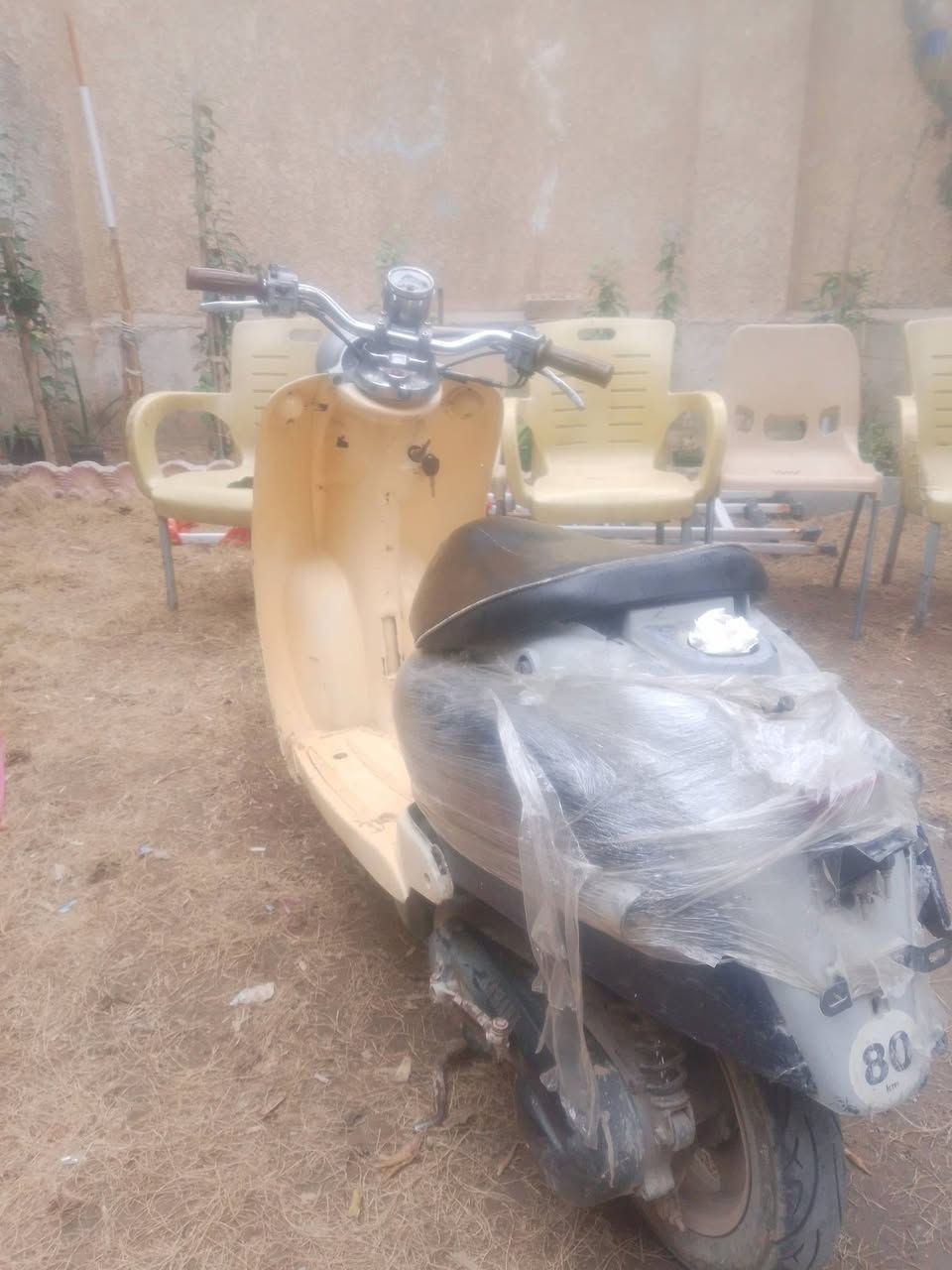 شله تخبل نص نهدر نقص بس باتري سعر 125مكان بغداد الشعب رقم ***********
